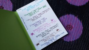 a list for March 1st of fountain pens & inks giving P. M. Starr pleasure